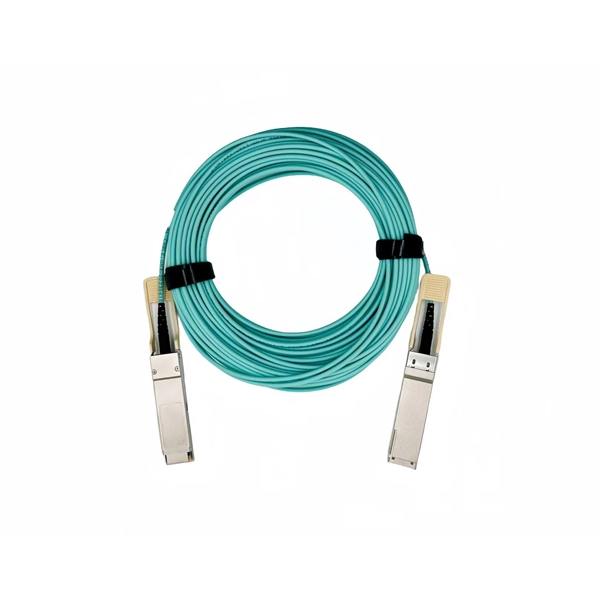 Optical module interconnection with optical port lamp